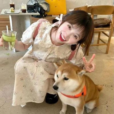 火鸟的沼泽